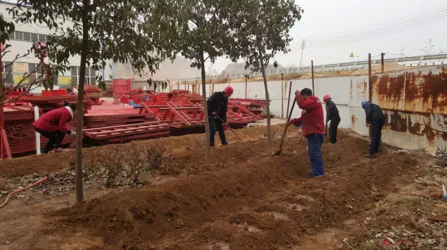 鋼模板廠家播下希望,收獲果實