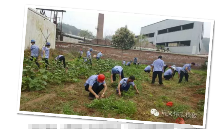 員工冒雨參加義務勞動！感動———偉志鋼模板廠家
