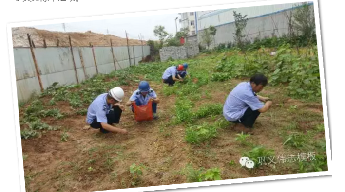 員工冒雨參加義務勞動！感動———偉志鋼模板廠家