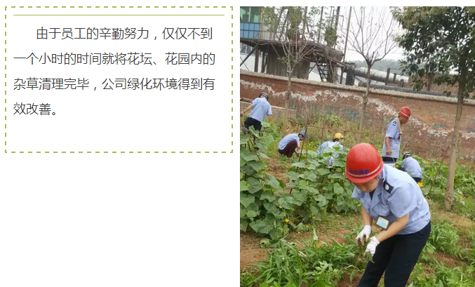 員工冒雨參加義務勞動！感動———偉志鋼模板廠家